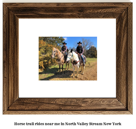 horse trail rides near me in North Valley Stream, New York